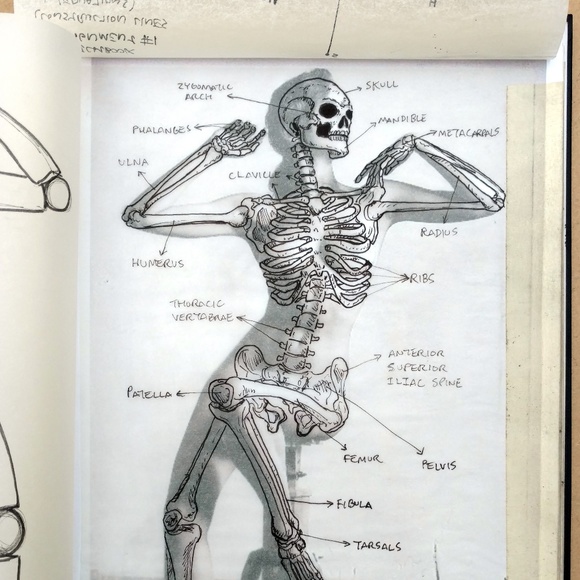 Acupuncture poster